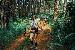 BIB: 
                            <button type="button" onclick="openModal(25743914)" class="btn btn-primary btn-sm float-right btn-popup" data-toggle="modal" data-target=".modal-high-quality">
                        <i class="fas fa-shopping-cart"></i> Add to Cart
                    </button>
                                            <button type="button" onclick="isThisMe(25743914, true)" class="btn btn-success btn-sm float-right btn-popup btn-isme hidden" data-toggle="tooltip" data-placement="bottom" title="นี่คือรูปของคุณใช่ไหม คลิกที่นี่เพื่อเอาเข้าอัลบั้ม">
                        <i class="fas fa-plus"></i> Add to album
                    </button>
                    <button type="button" onclick="isThisMe(25743914, false)" class="btn btn-warning btn-sm float-right btn-popup btn-isnotme hidden">
                        <i class="fas fa-ban"></i> Remove from album
                    </button>